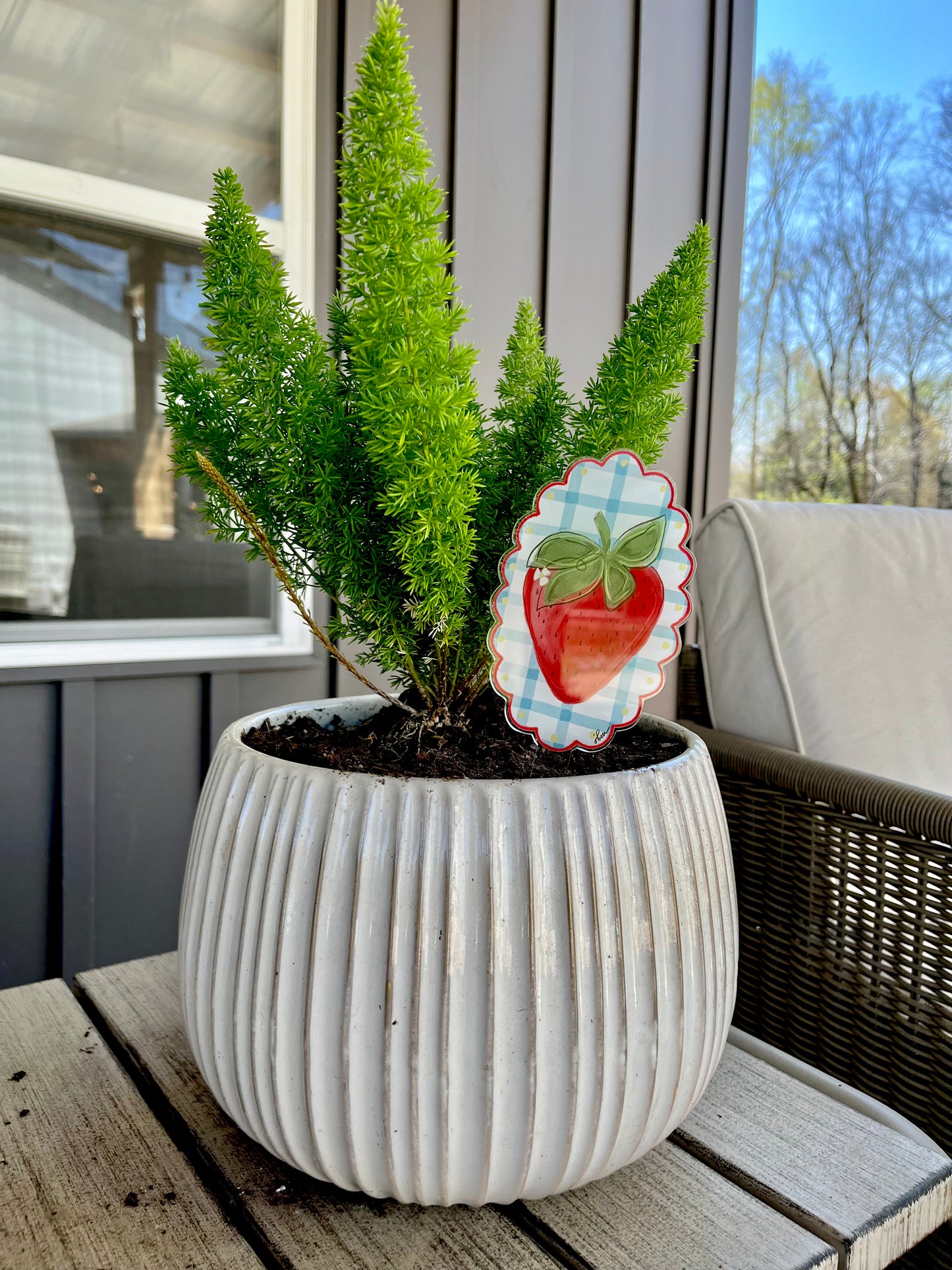 Acrylic “Plant Picks”