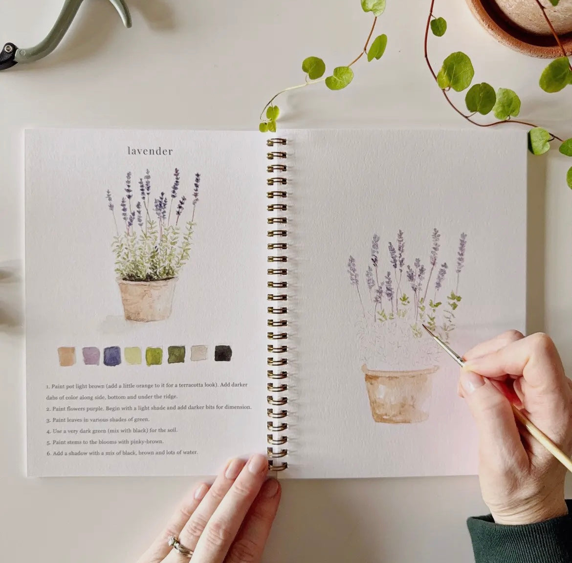 Emily Lex Watercolor Workbook