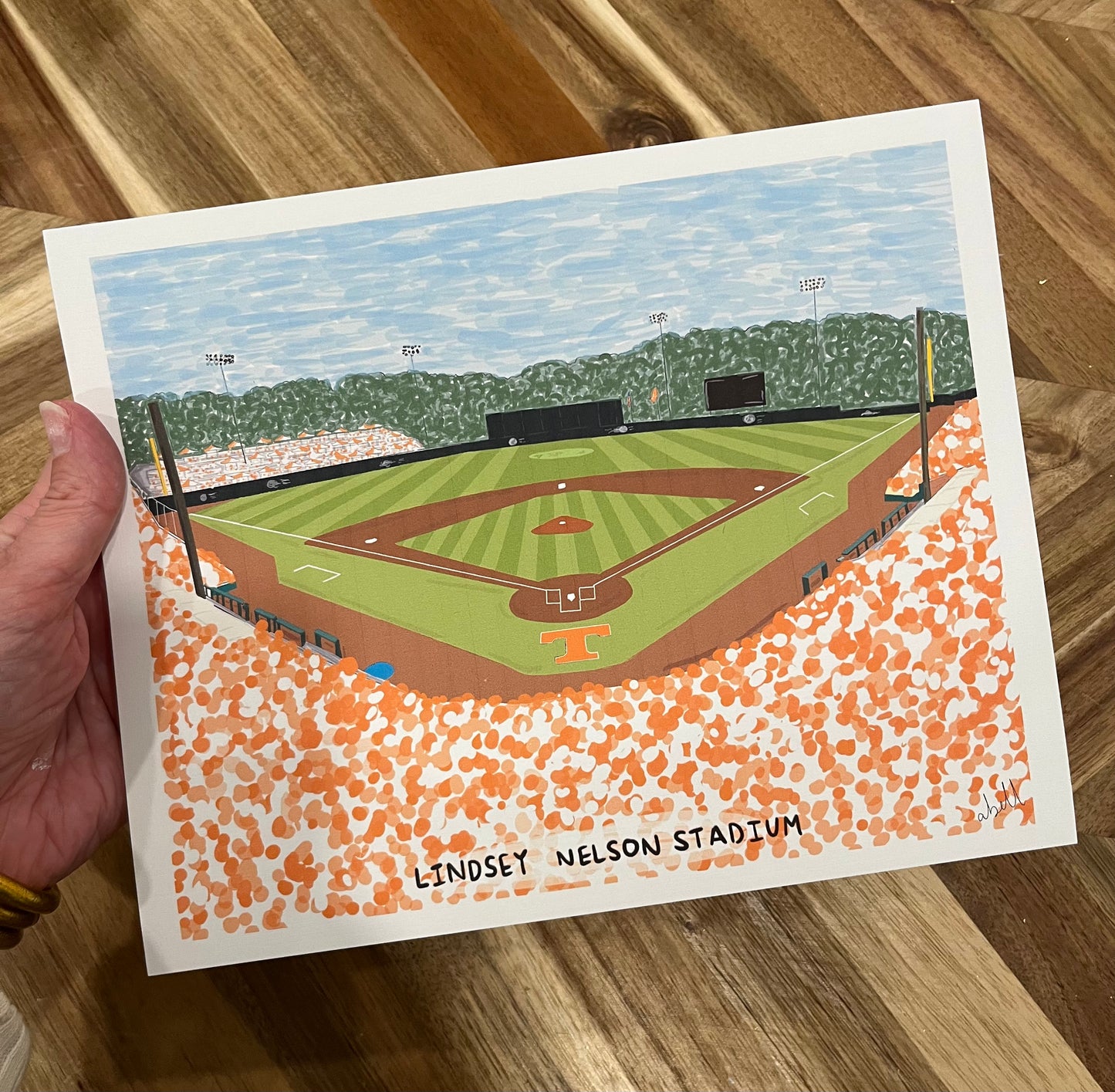 UT Vols Baseball Stadium Print