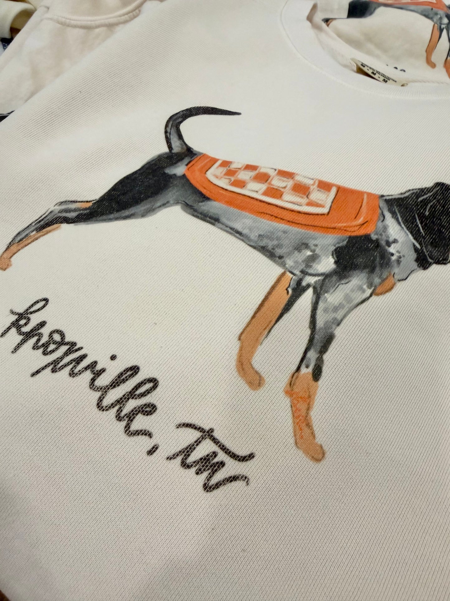 Collegiate Mascot Sweatshirt - Knoxville