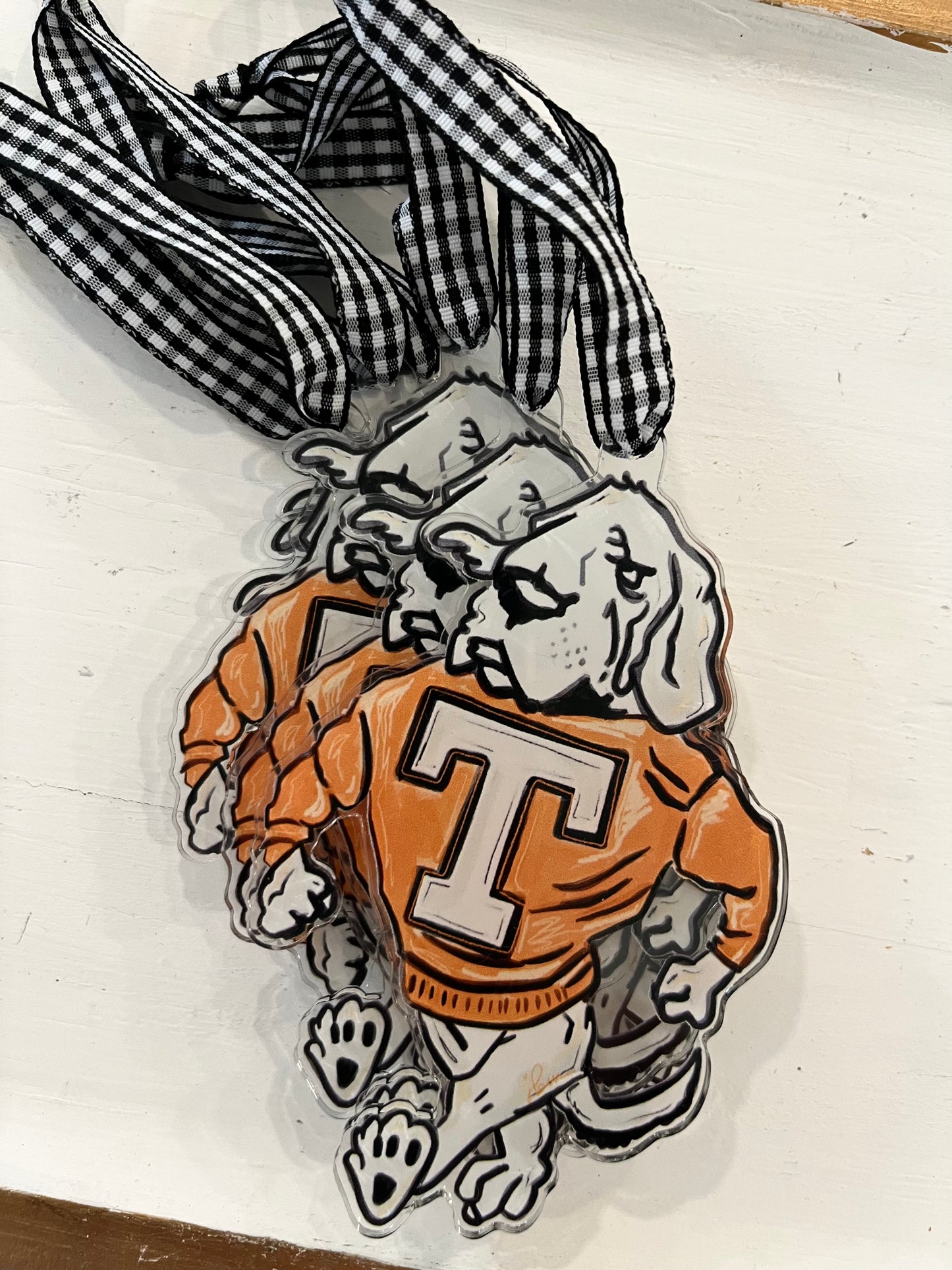 Pre-Order Smokey Acrylic Ornament