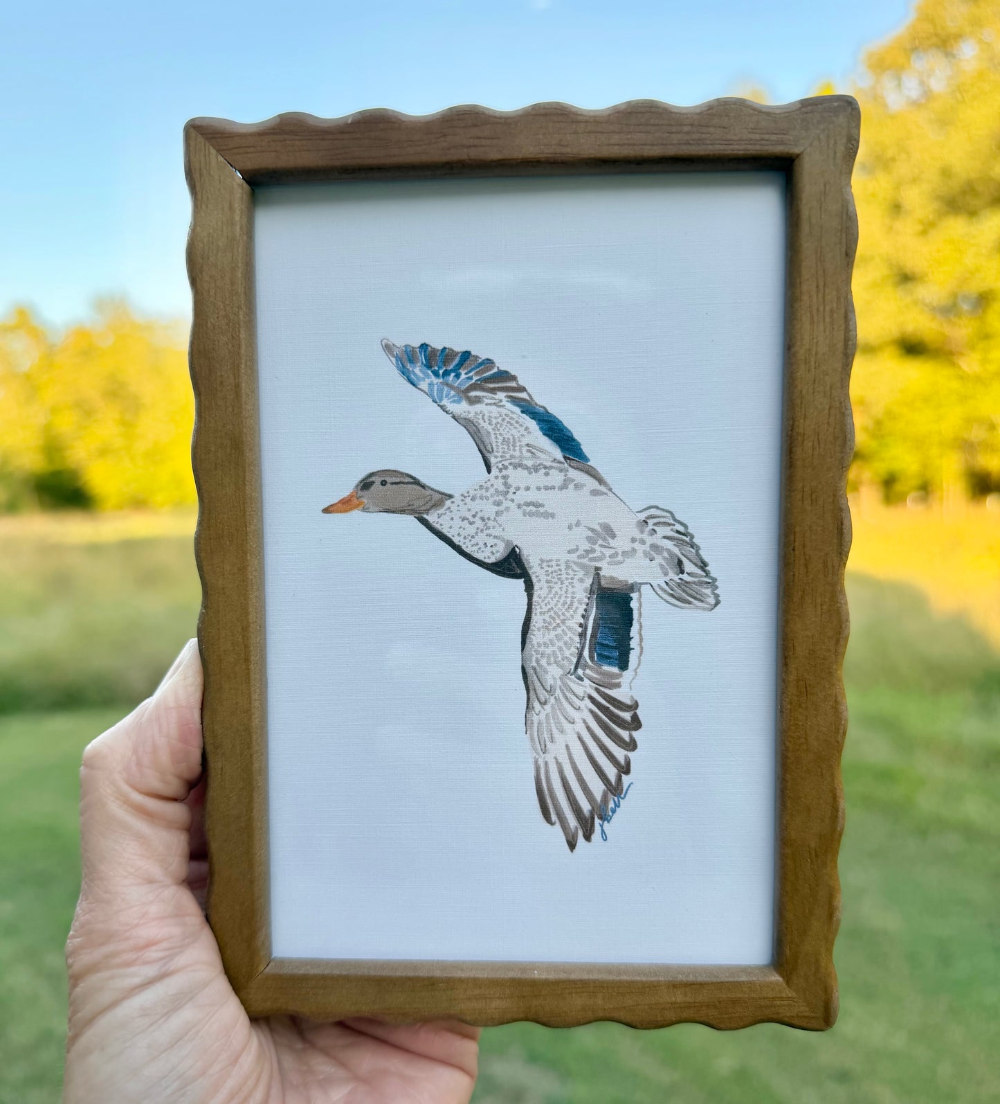 Miss Mallard 4x6 Framed Print