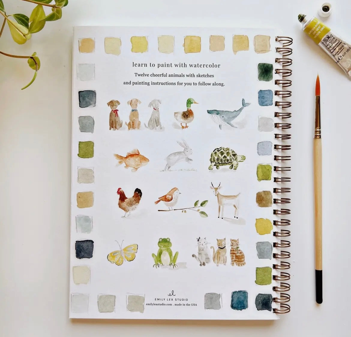 Emily Lex Watercolor Workbook