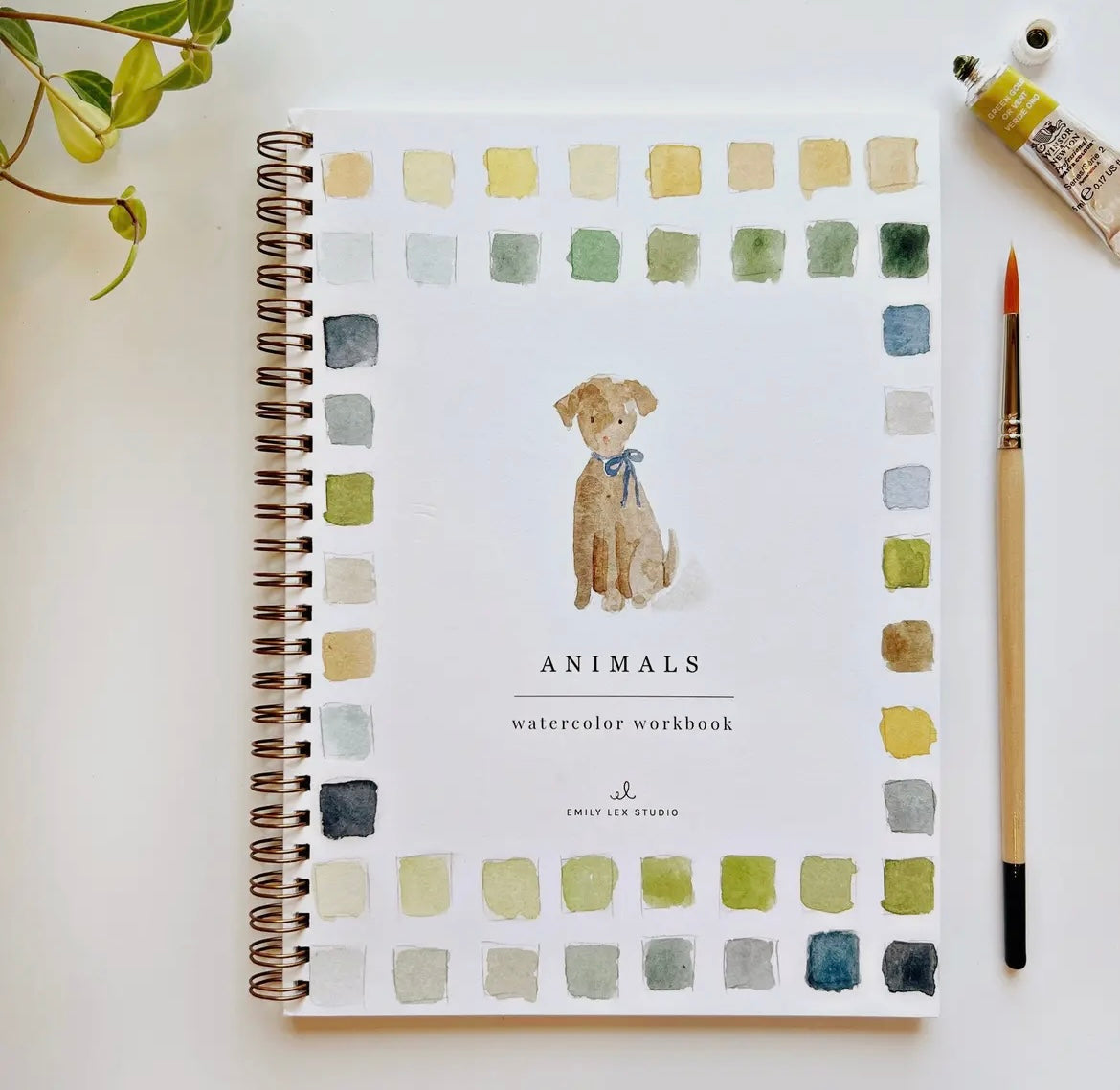 Emily Lex Watercolor Workbook