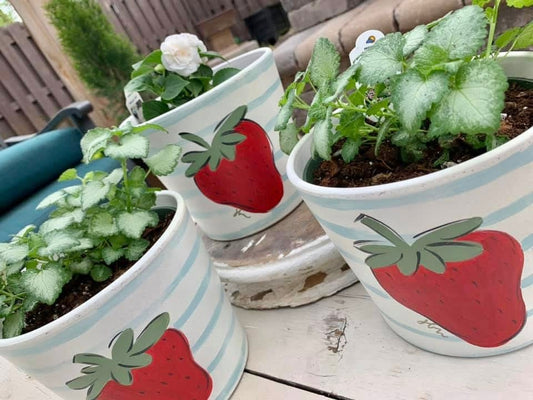 Ladies night- April 9th- Pretty Pot Workshop