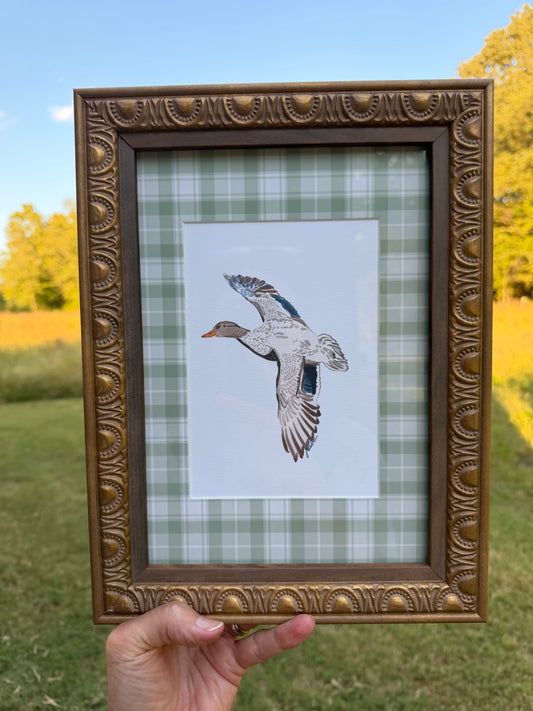 Miss Mallard - Framed Print