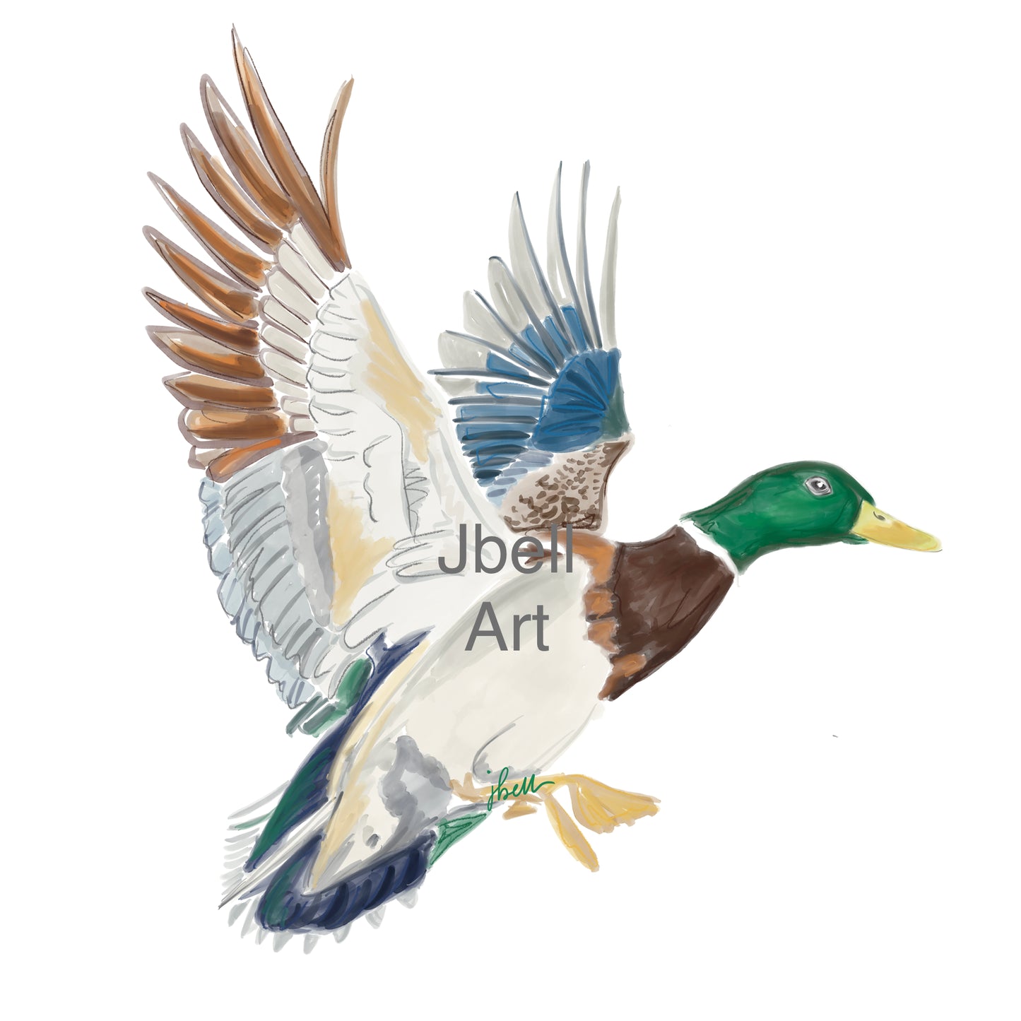 Mallard Print