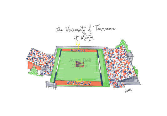 UTM Stadium- Unframed